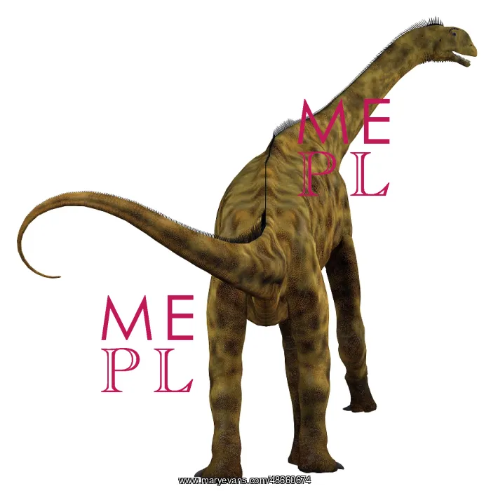 : Atlasaurus dinosaur, rear view : Atlasaurus dinosaur, rear view