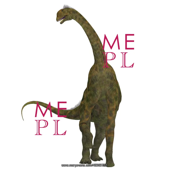 : Atlasaurus dinosaur on white background : Atlasaurus dinosaur on white background