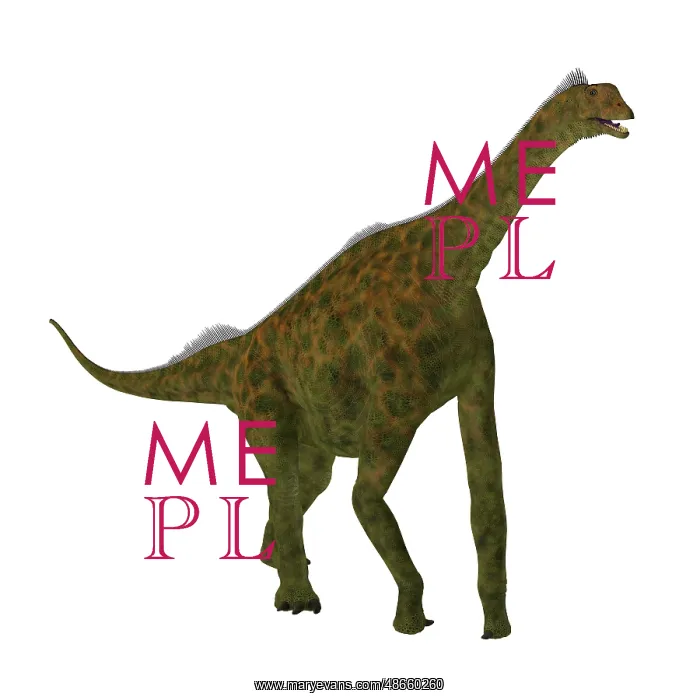 : Atlasaurus dinosaur on white background : Atlasaurus dinosaur on white background