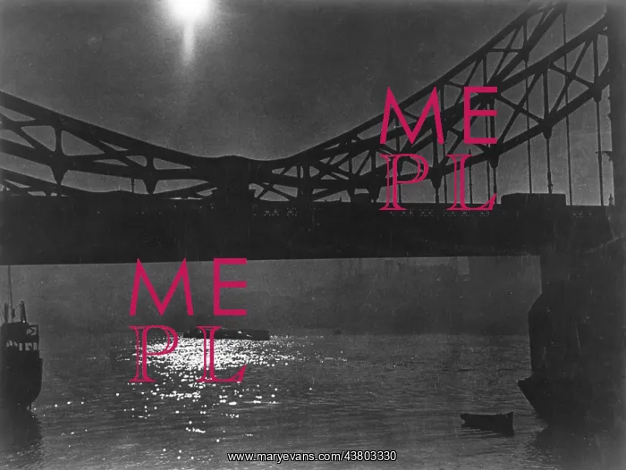 : Atmospheric night scene with bridge : Atmospheric night scene with bridge