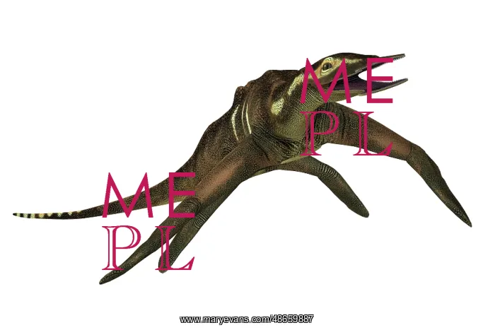 : Atopodentatus prehistoric reptile, on white background