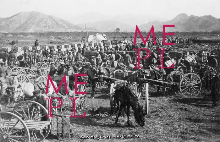 : Attack on Tsingtao, 1914 : Attack on Tsingtao, 1914