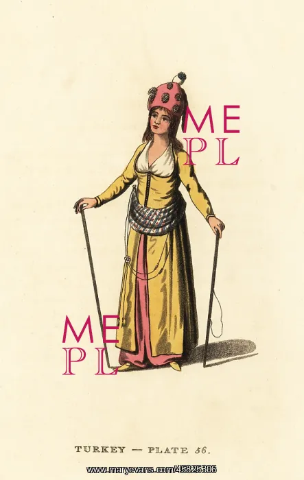: Attendant to the Harem of the Sultan : Attendant to the Harem of the Sultan