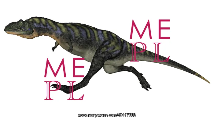 : Aucasaurus dinosaur isolated on white background : Aucasaurus dinosaur isolated on white background