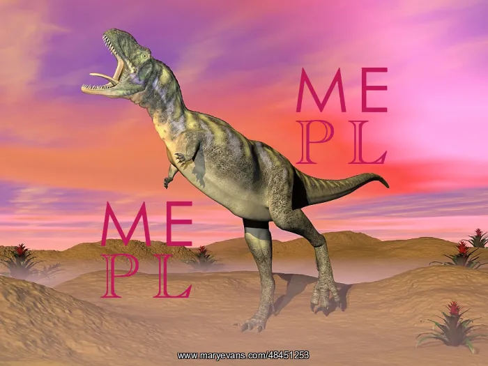: Aucasaurus dinosaur roaring in the desert by sunset : Aucasaurus dinosaur roaring in the desert by sunset