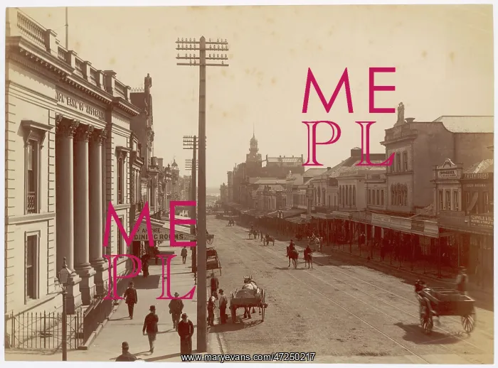 : AUCKLAND STREET SCENE : AUCKLAND STREET SCENE