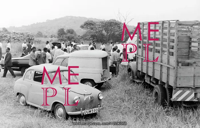 : Before the auction, prospective buyers walked : Before the auction, prospective buyers walked