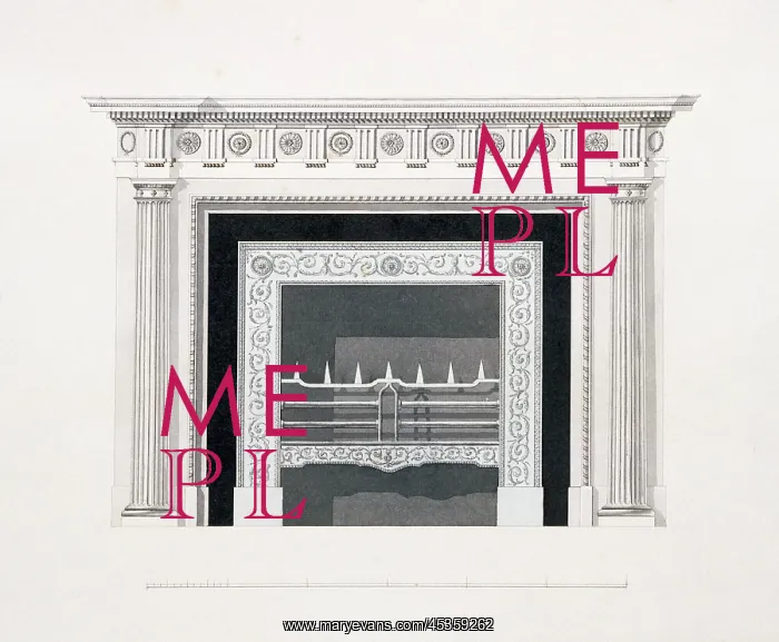 : Audley End House. Library fireplace : Audley End House. Library fireplace