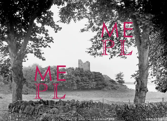 : Audley's Castle, Strangford : Audley's Castle, Strangford