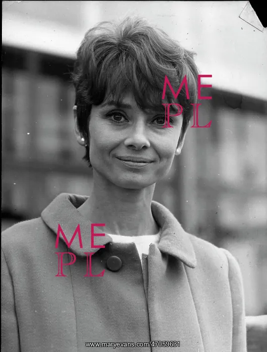 : Audrey Hepburn, British actress, in Zurich : Audrey Hepburn, British actress, in Zurich