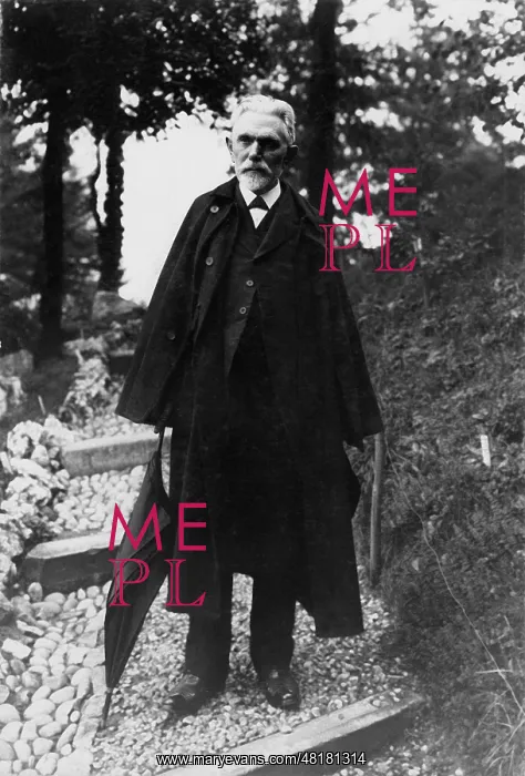 : August Bebel, 1913 : August Bebel, 1913