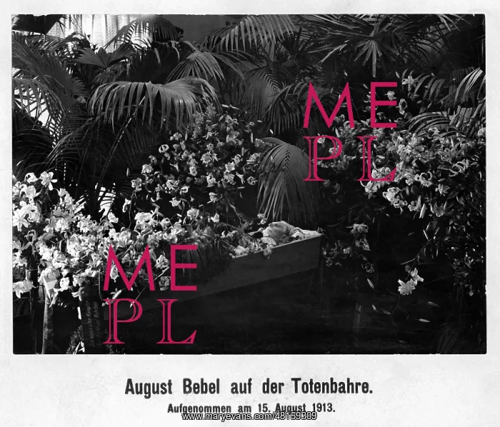 : August Bebel : August Bebel