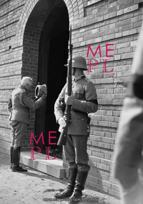 : August von Mackensen at Hindenburg's grave, 1935-36 : August von Mackensen at Hindenburg's grave, 1935-36