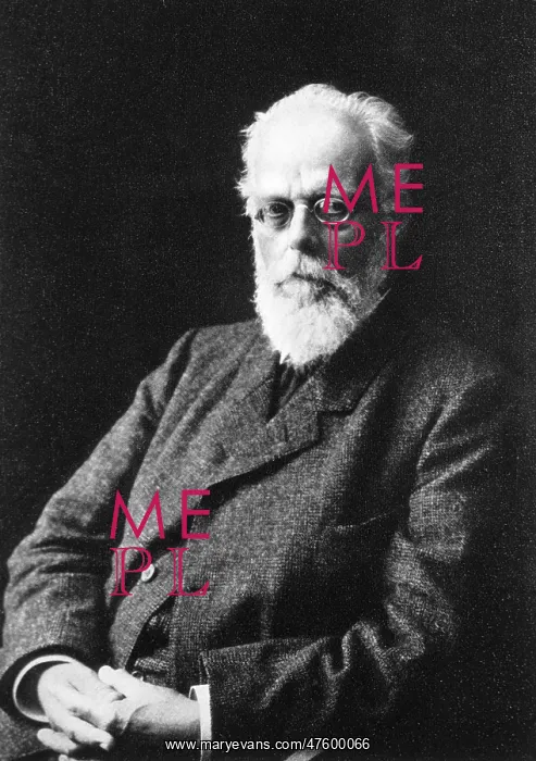 : August Weismann, German Evolutionary Biologist : August Weismann, German Evolutionary Biologist