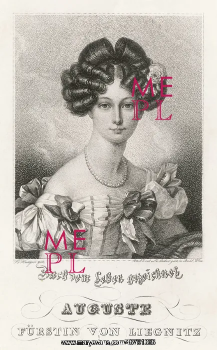 : AUGUSTE F. LIEGNITZ : AUGUSTE F. LIEGNITZ