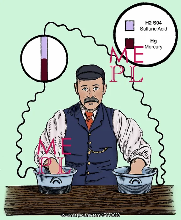 : Augustus Waller, ECG Demonstration, 1888 : Augustus Waller, ECG Demonstration, 1888