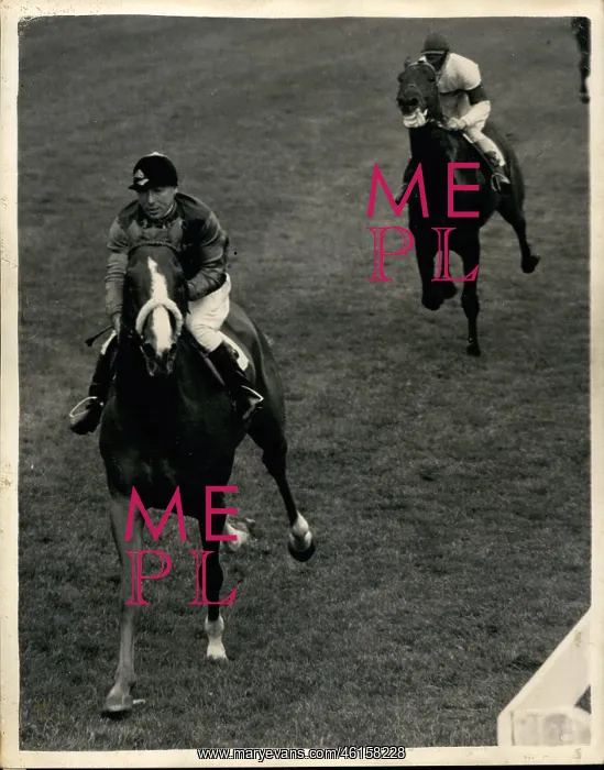 : Aureole winning Coronation Cup at Epsom : Aureole winning Coronation Cup at Epsom