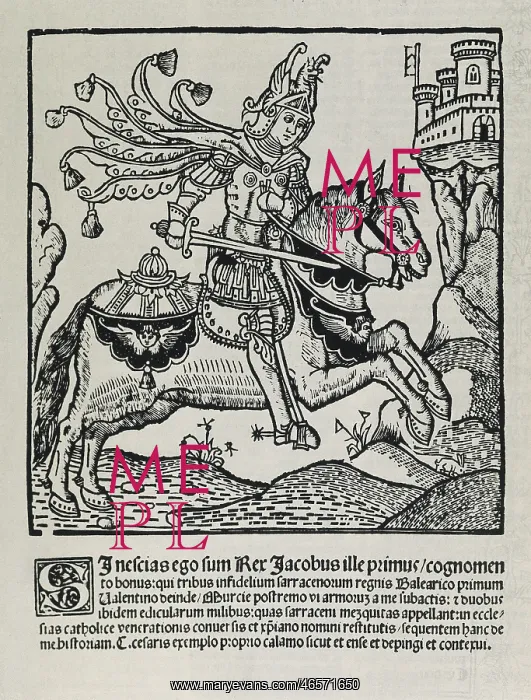 : Aureum opus regalium privilegiorum civitatis : Aureum opus regalium privilegiorum civitatis