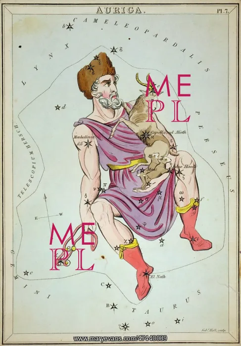 : Auriga. Astronomical chart showing Auriga the Charioteer holding a ram, two ewes : Auriga. Astronomical chart showing Auriga the Charioteer holding a ram, two ewes