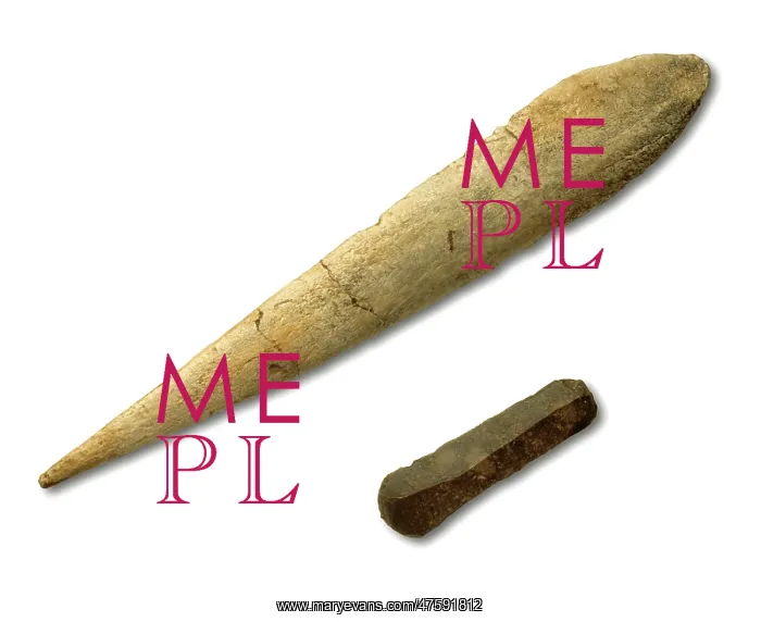 : Aurignacian tools : Aurignacian tools