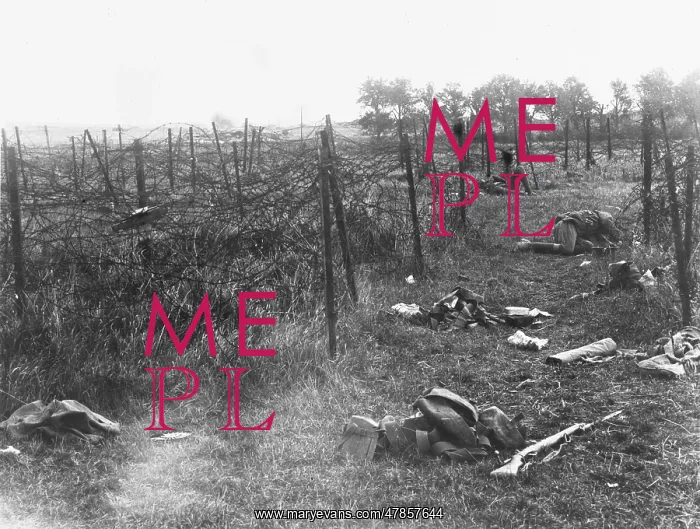 : Auriol Wood 1918 : Auriol Wood 1918