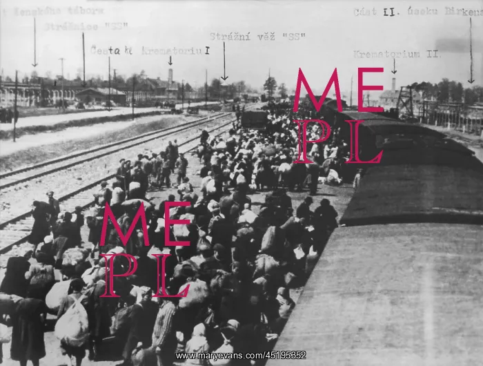 : Auschwitz concentration camp : Auschwitz concentration camp