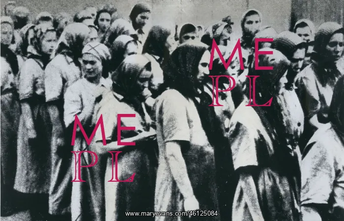 : Auschwitz Concentration Camp : Auschwitz Concentration Camp