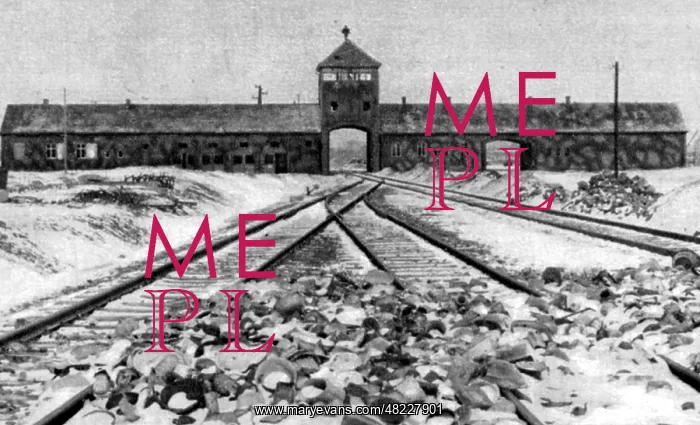 : The Auschwitz concentration camp : The Auschwitz concentration camp