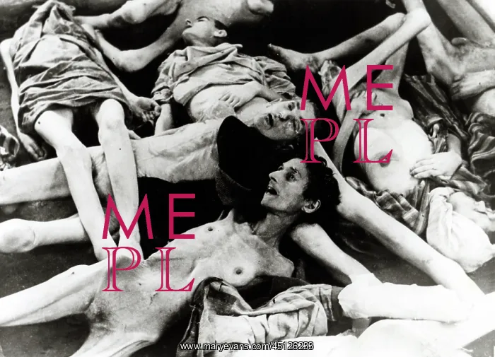 : Auschwitz - Corpses of dead prisoners : Auschwitz - Corpses of dead prisoners
