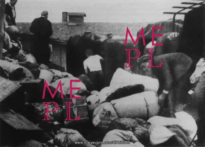 : AUSCHWITZ FORCED LABOUR : AUSCHWITZ FORCED LABOUR