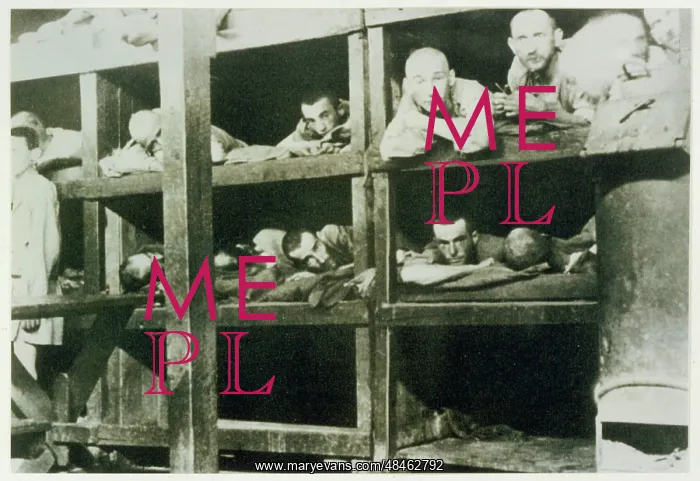 : AUSCHWITZ INMATES : AUSCHWITZ INMATES