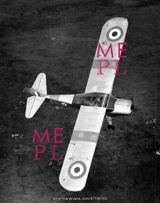  : Auster AOP Mk.V