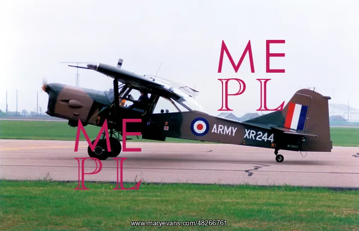 : Auster AOP.9 G-CICR - XR244 : Auster AOP.9 G-CICR - XR244