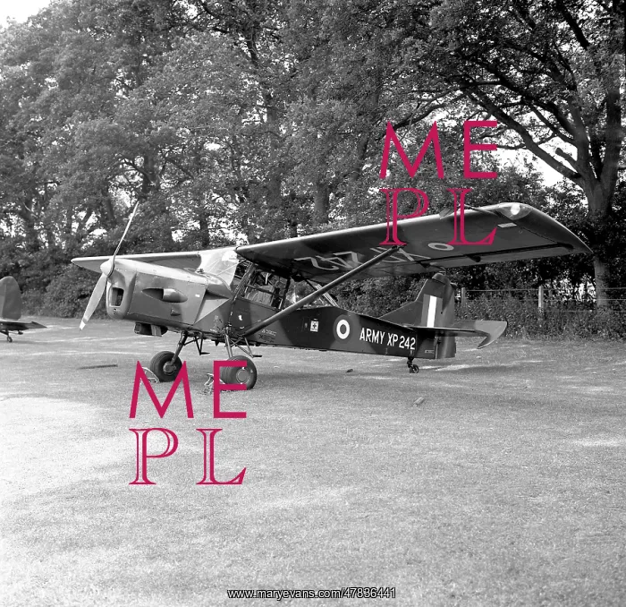 : Auster AOP.9 XP242 : Auster AOP.9 XP242