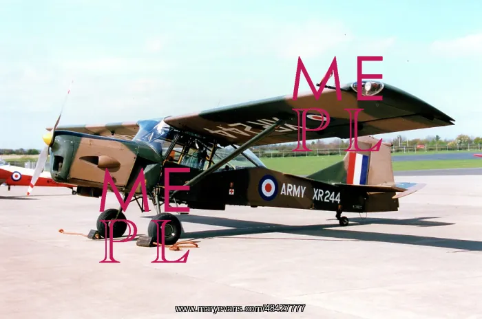 : Auster AOP.9 XR244 : Auster AOP.9 XR244