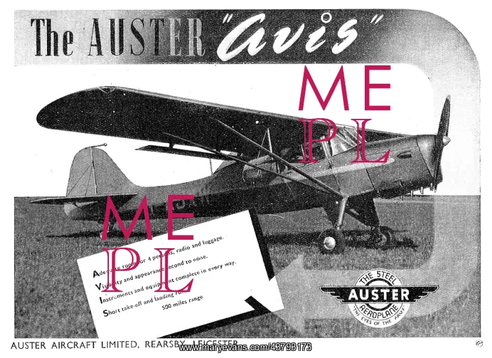  : Auster Avis