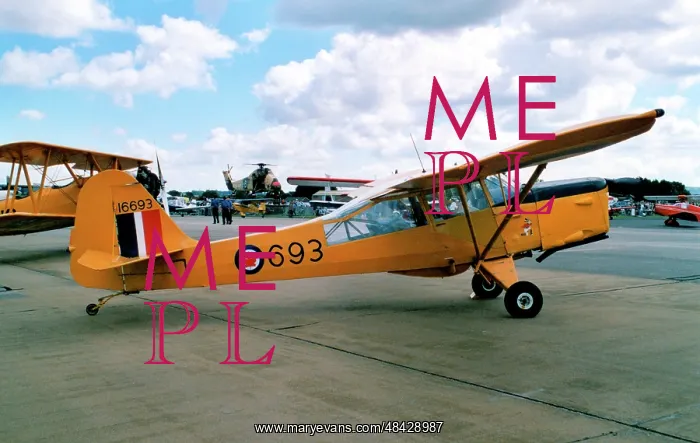 : Auster J / 1N Alpha G-BLPG - 16693 : Auster J / 1N Alpha G-BLPG - 16693