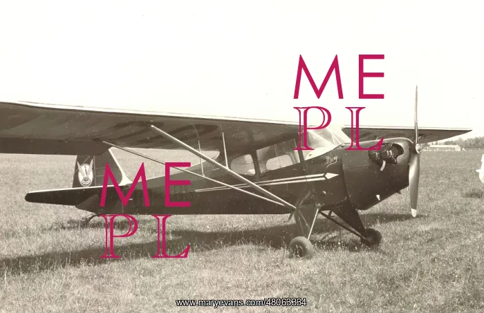 : Auster J-2 Arrow OO-ABS : Auster J-2 Arrow OO-ABS
