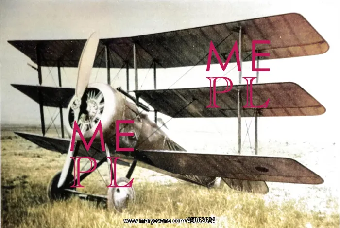 : Austin AFT 3 Osprey triplane : Austin AFT 3 Osprey triplane