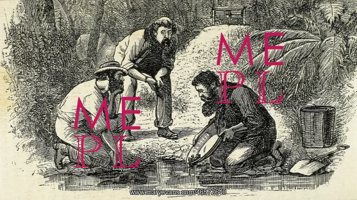 : Australia (1880). The life of the gold diggers : Australia (1880). The life of the gold diggers