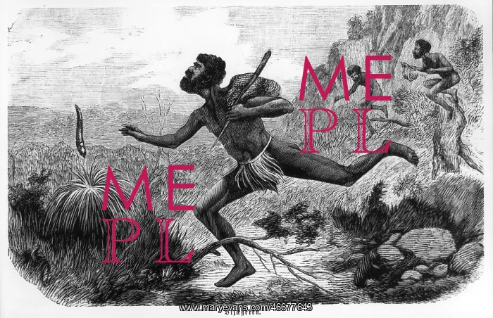 : Australia, aborigines, aborigine during hunt : Australia, aborigines, aborigine during hunt