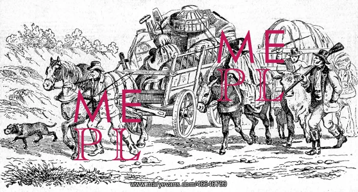 : Australia, settler trek, contemporary image : Australia, settler trek, contemporary image