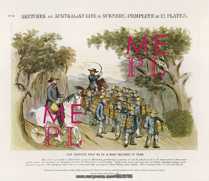 : Australian Convicts : Australian Convicts