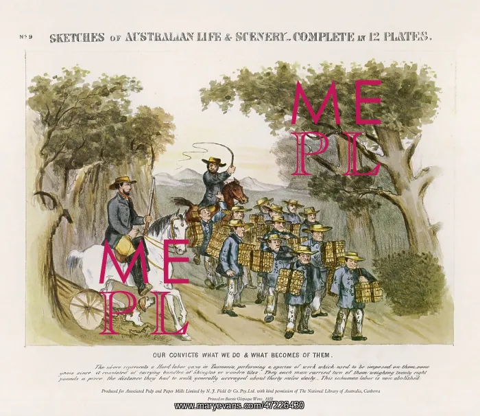 : Australian Convicts : Australian Convicts