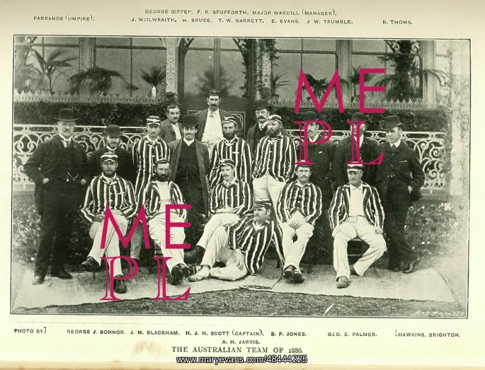 : The Australian Cricket Team 1886 : The Australian Cricket Team 1886
