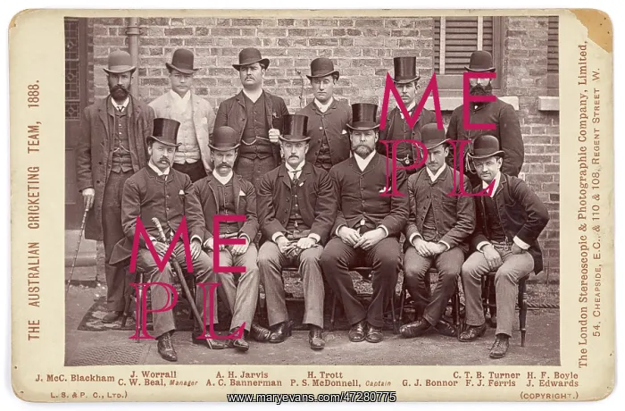 : Australian Cricket Team : Australian Cricket Team
