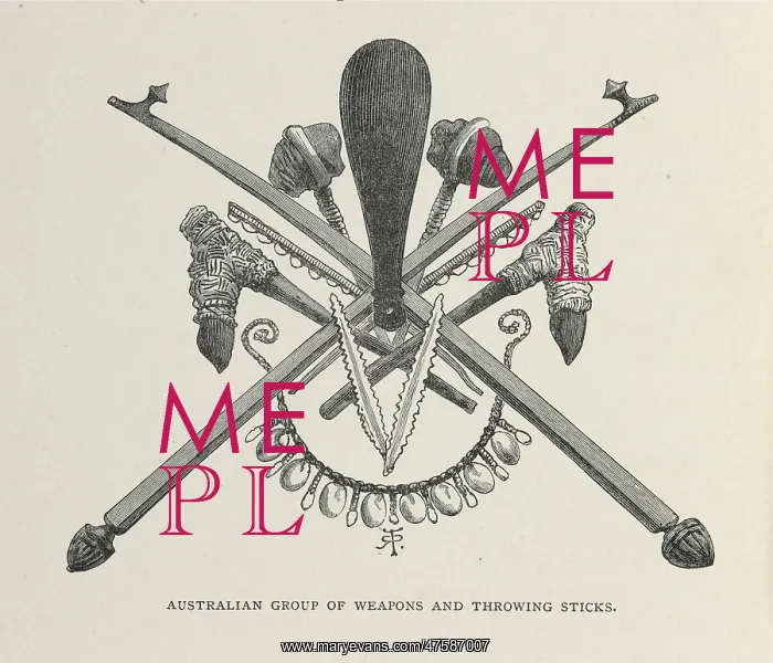  : Australian group of weapons and throwing sticks illustrati