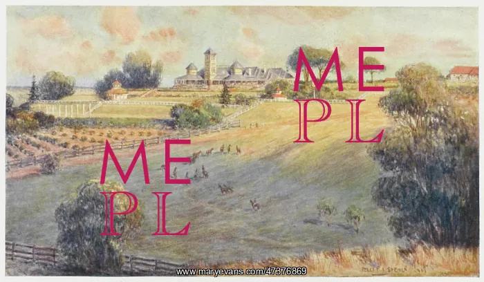 : AUSTRALIAN HOMESTEAD : AUSTRALIAN HOMESTEAD