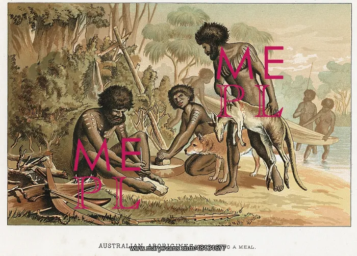 : Australian natives preparing meal from animal : Australian natives preparing meal from animal