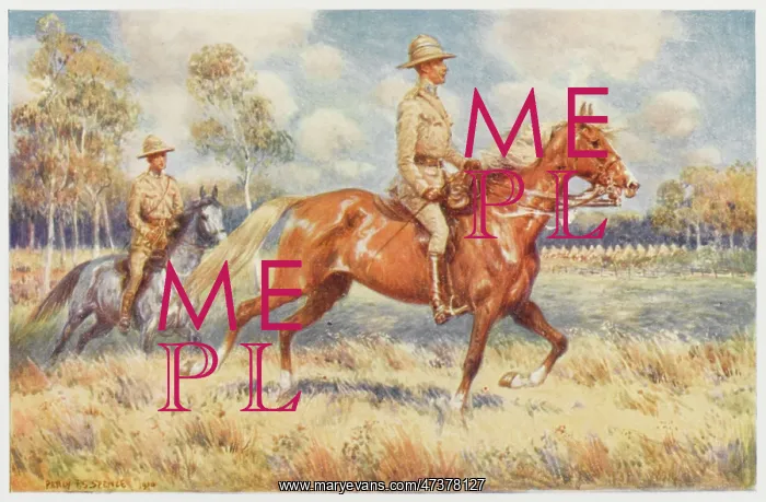 : AUSTRALIAN SOLDIERS 2 : AUSTRALIAN SOLDIERS 2